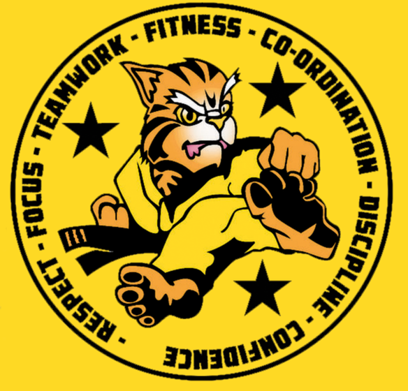 Whitchurch, Shropshire children's taekwondo martial arts classes